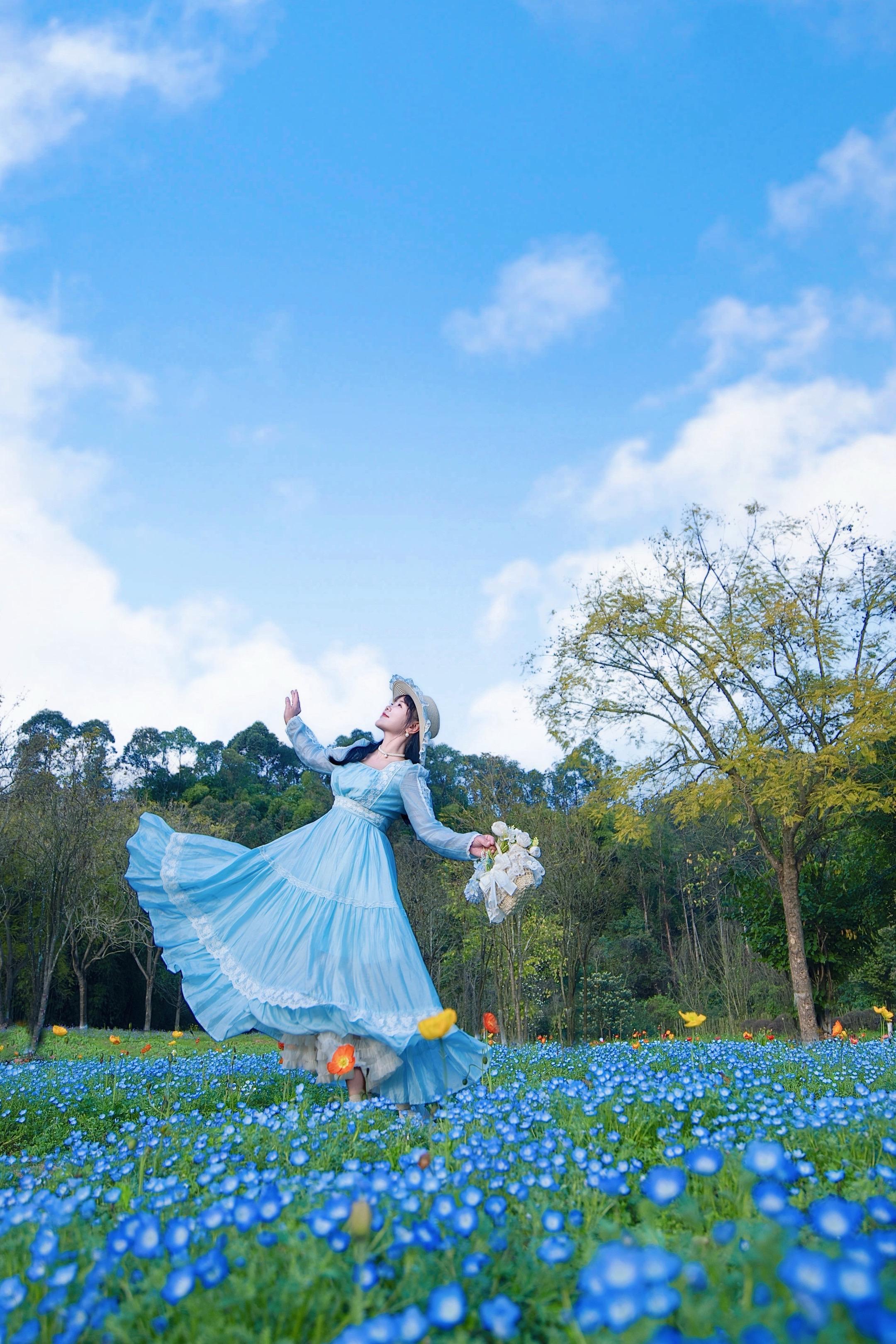 如果治愈有颜色那一定是蓝色🩵。春日限定浪漫｜蓝眼睛🌼🍃