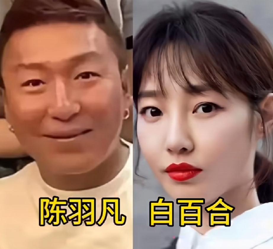 娱乐圈不少夫妻都有着鲜明的颜值反差，白百何灵动精致，车晓清冷高级，杨澜知性大气，