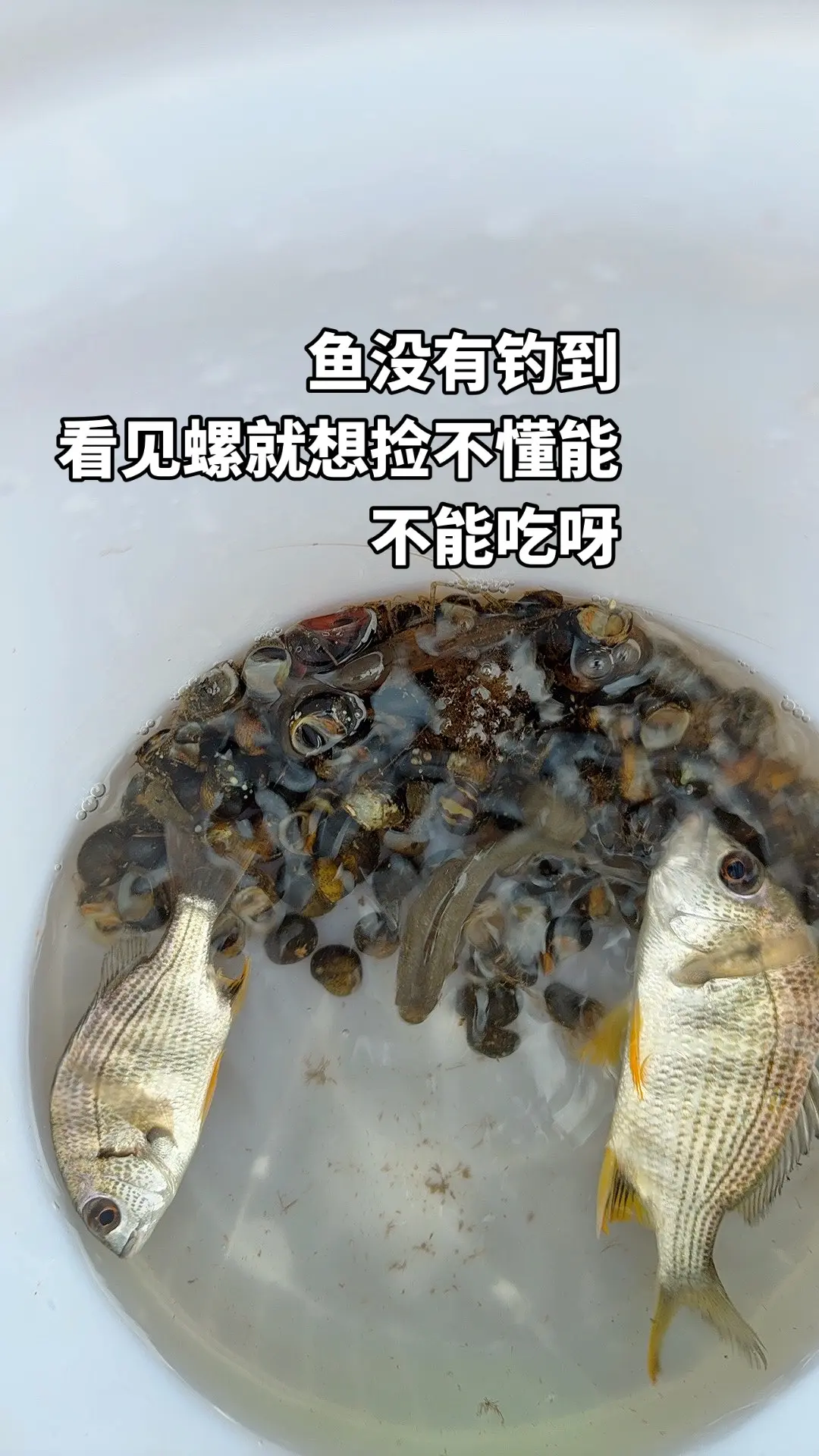 女钓友