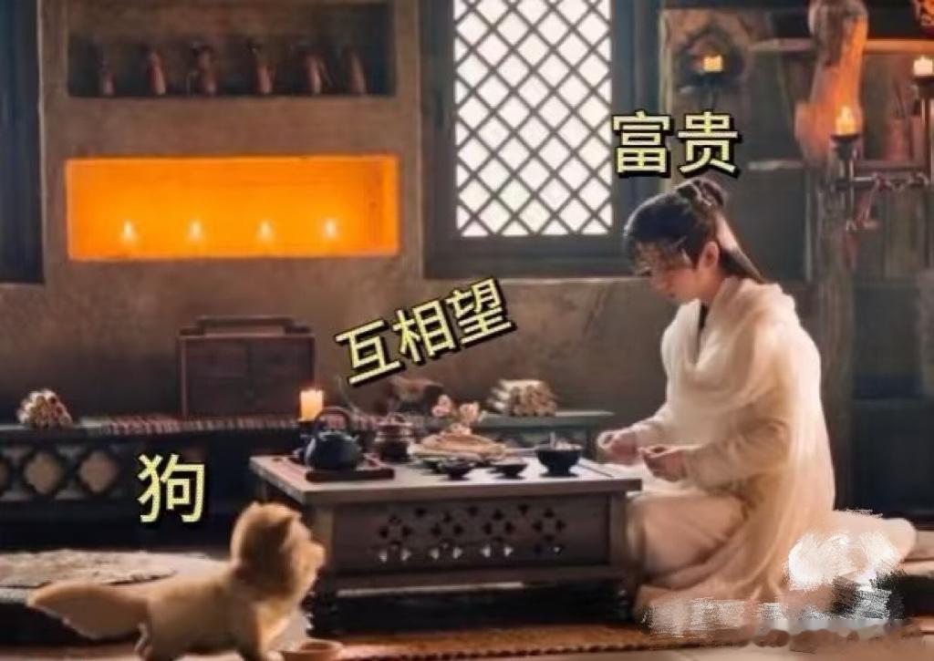 天地剑心 晚上更新白天背梗 白天背梗欢乐多，晚上更新惊喜足，别错过！ ​​​