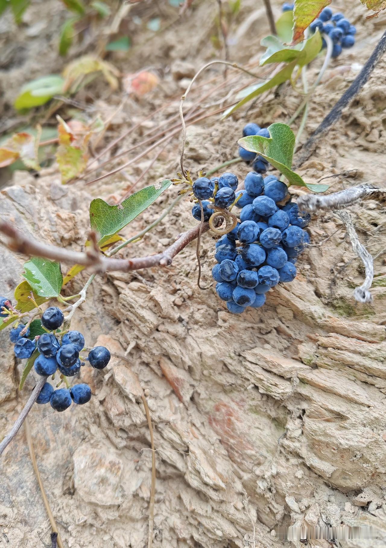 “现在怎么动不动就抑郁呢？”我不解地问。

“我觉得现在的孩子之所以抑郁，很大程