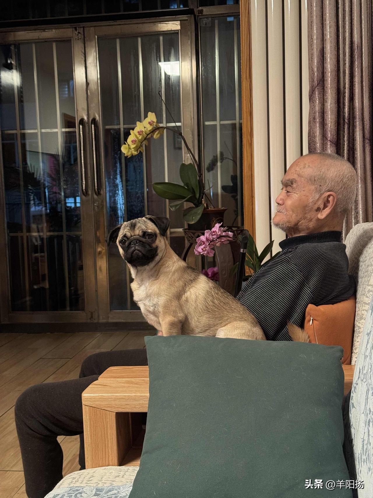 今年春天最想实现的心愿愿我老父亲的身体像春天一样生机蓬勃，健康长寿。愿我们全家平