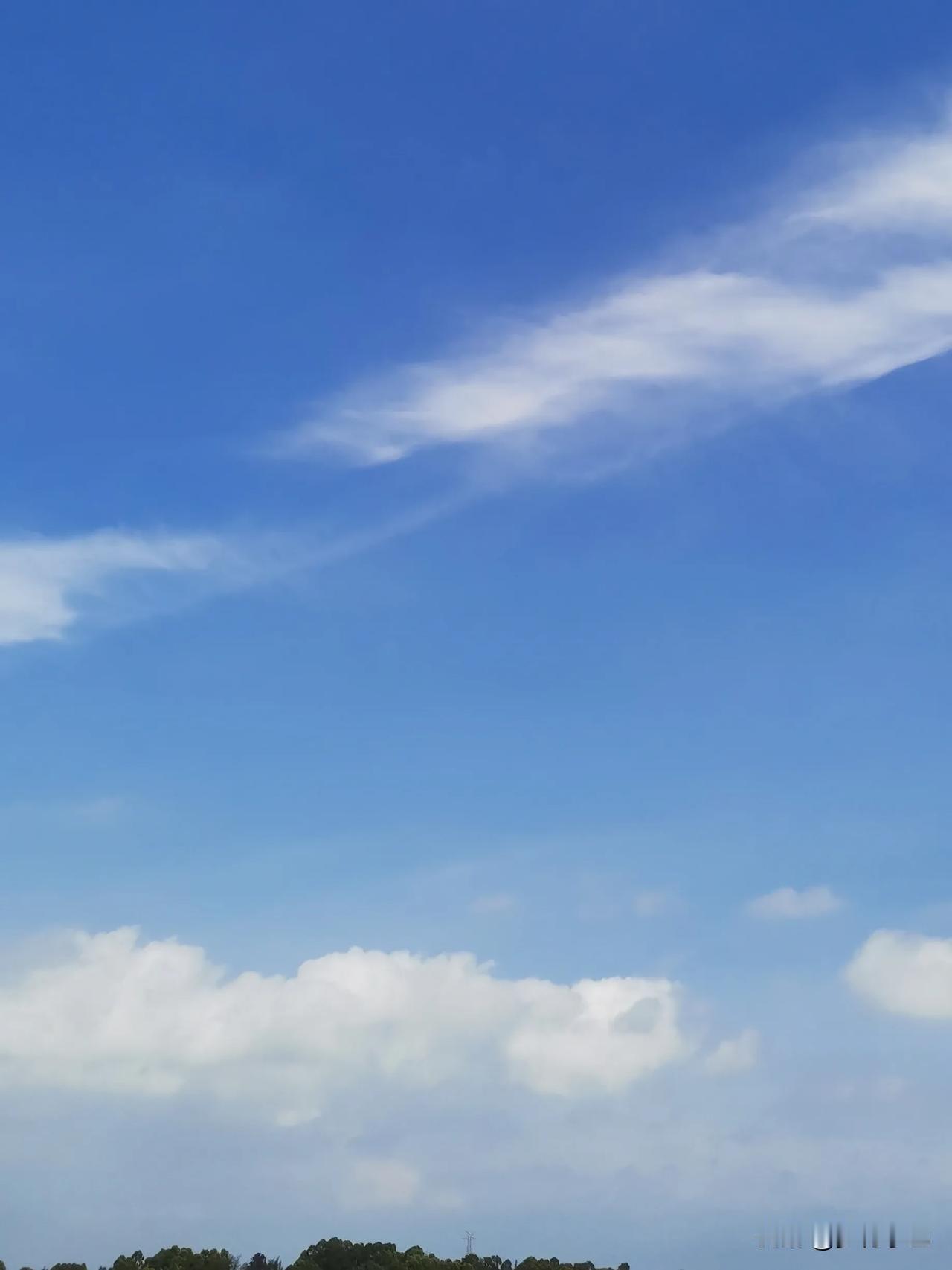 3天不雨了，楼顶种菜真的是浇水都怕，今天中午上楼看了一下。
我的天呀！热浪迎面滚