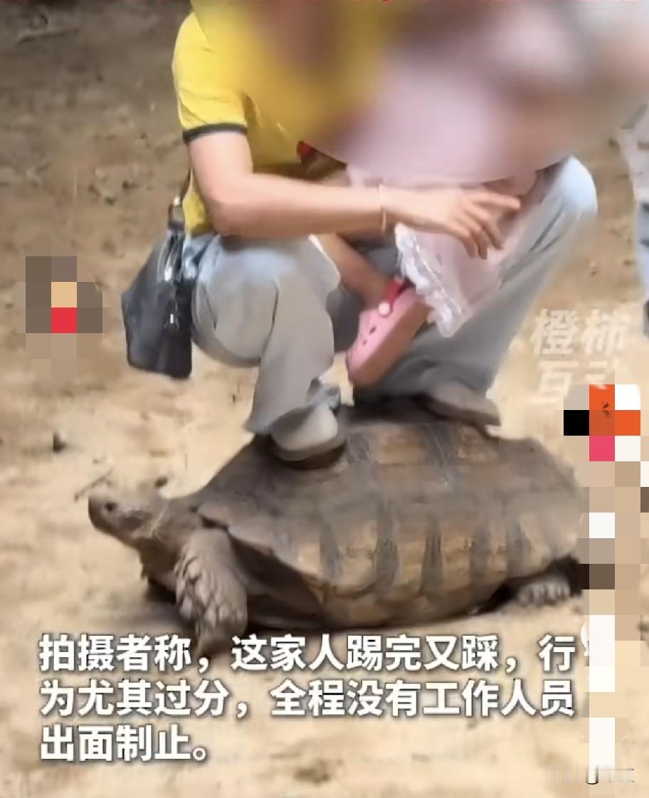 8月21日，佛山一景区内，家长抱着孩子直接踩在乌龟背上蹲着，让乌龟驮着她娘俩走。