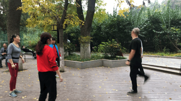 太扎心了！现在的公园早已不是清静的“避风港”，更像是中老年的“凡尔赛秀场”。
你