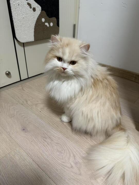 搞破坏！面壁思过