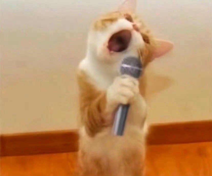 #哪个男人能拒绝5米高奥特曼#奥特曼应该是我们大家都非常喜欢的，看到这位小朋友的