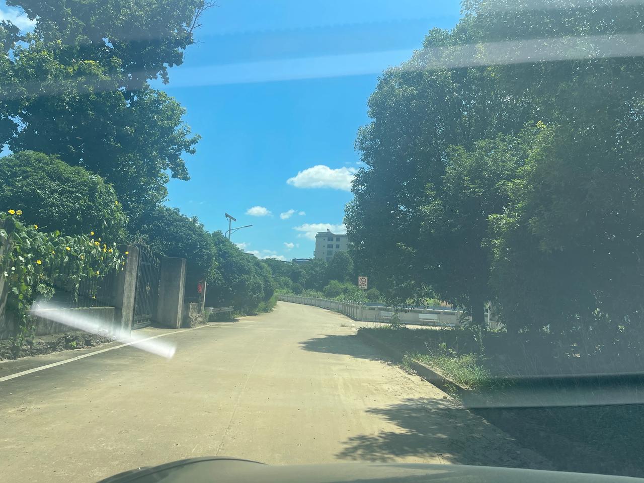 乡村#轻微的风# #马路边边的风景# #无需模糊# #路边与海#