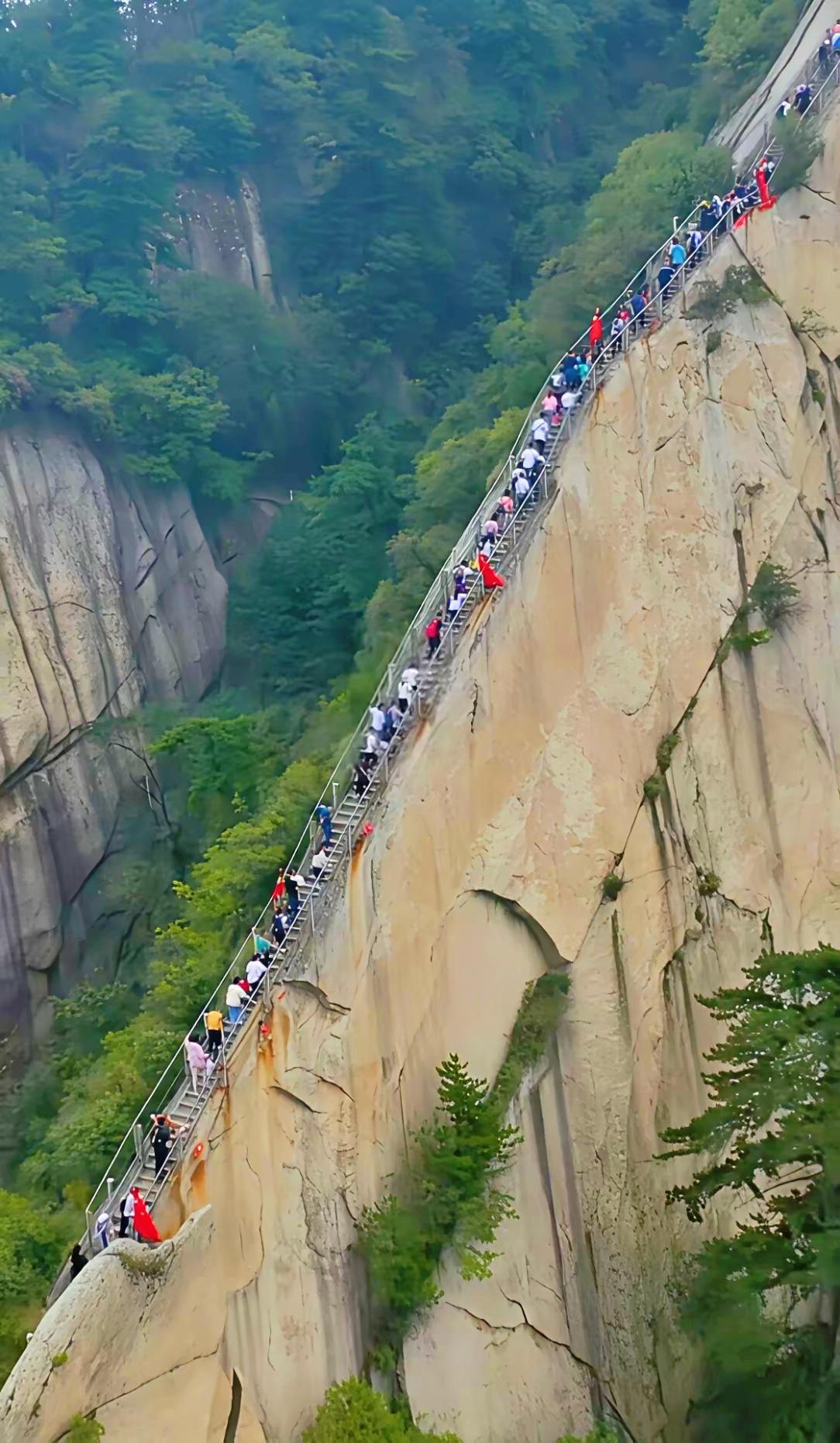 学与悟：知识，靠学；智慧，靠悟

博览群书者，固然知识渊博，可博学未必多才，博古