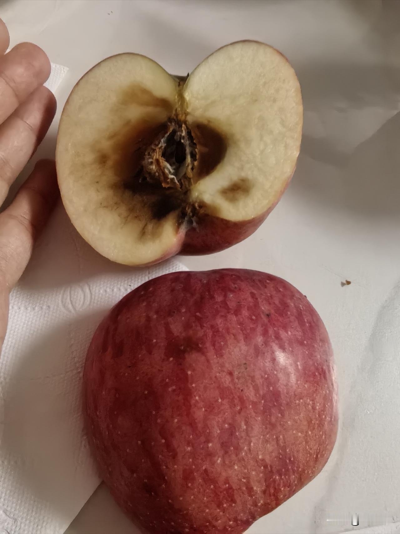 今天给宝儿削苹果的时候，发现这个苹果果皮光亮、颜色红润，看着完好无损，挑不出一点