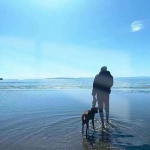 看世界风云变幻