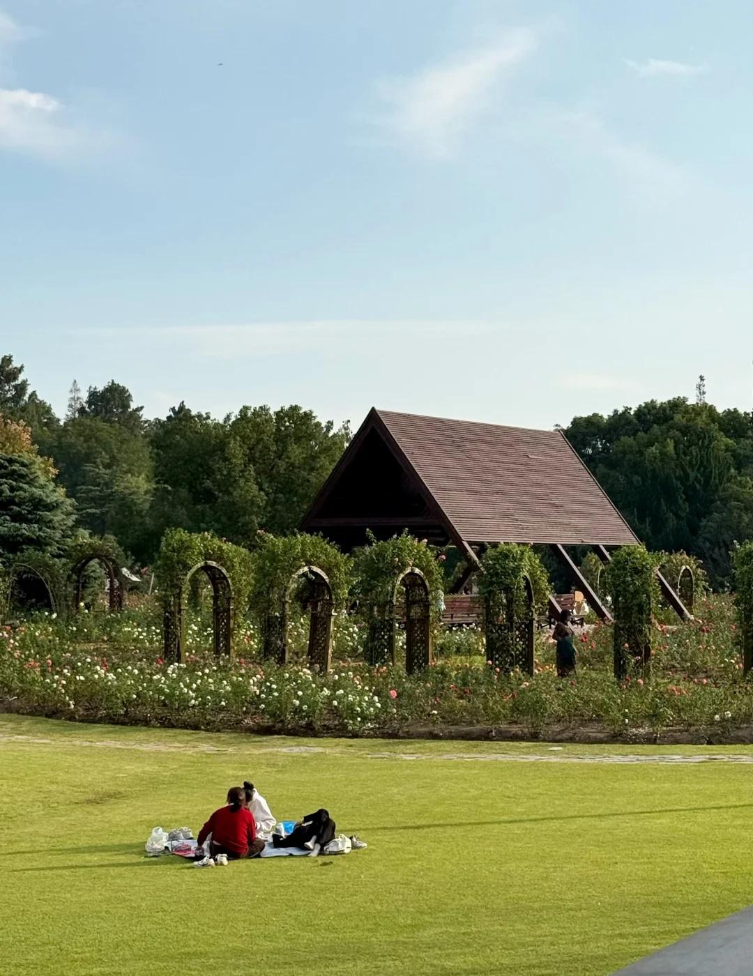 上海过周末｜来滨江森林公园充电🔋
来滨江森林公园放松一天🆓
瞬间找回“活着”