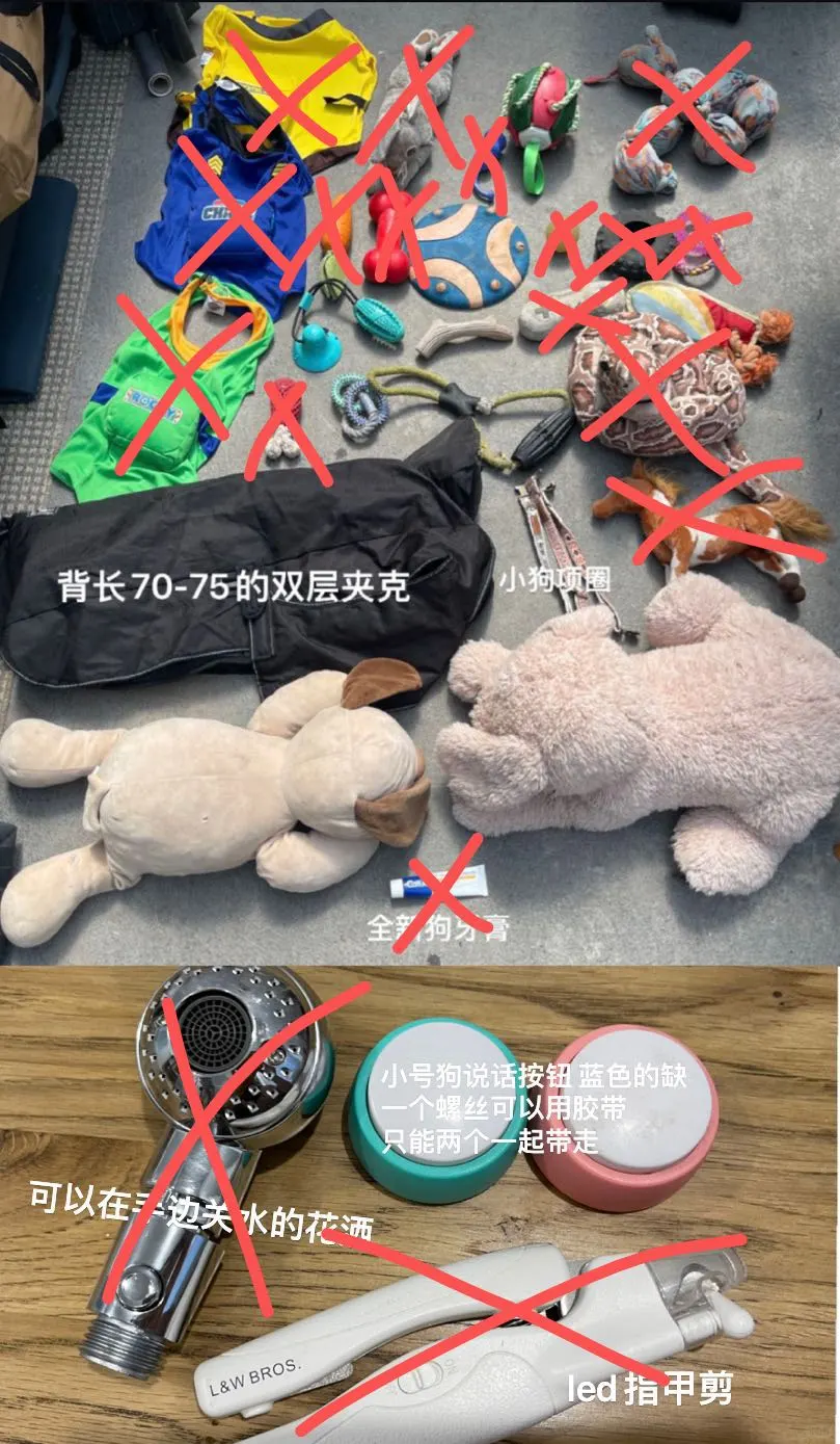 免费狗玩具狗衣服 求带走
