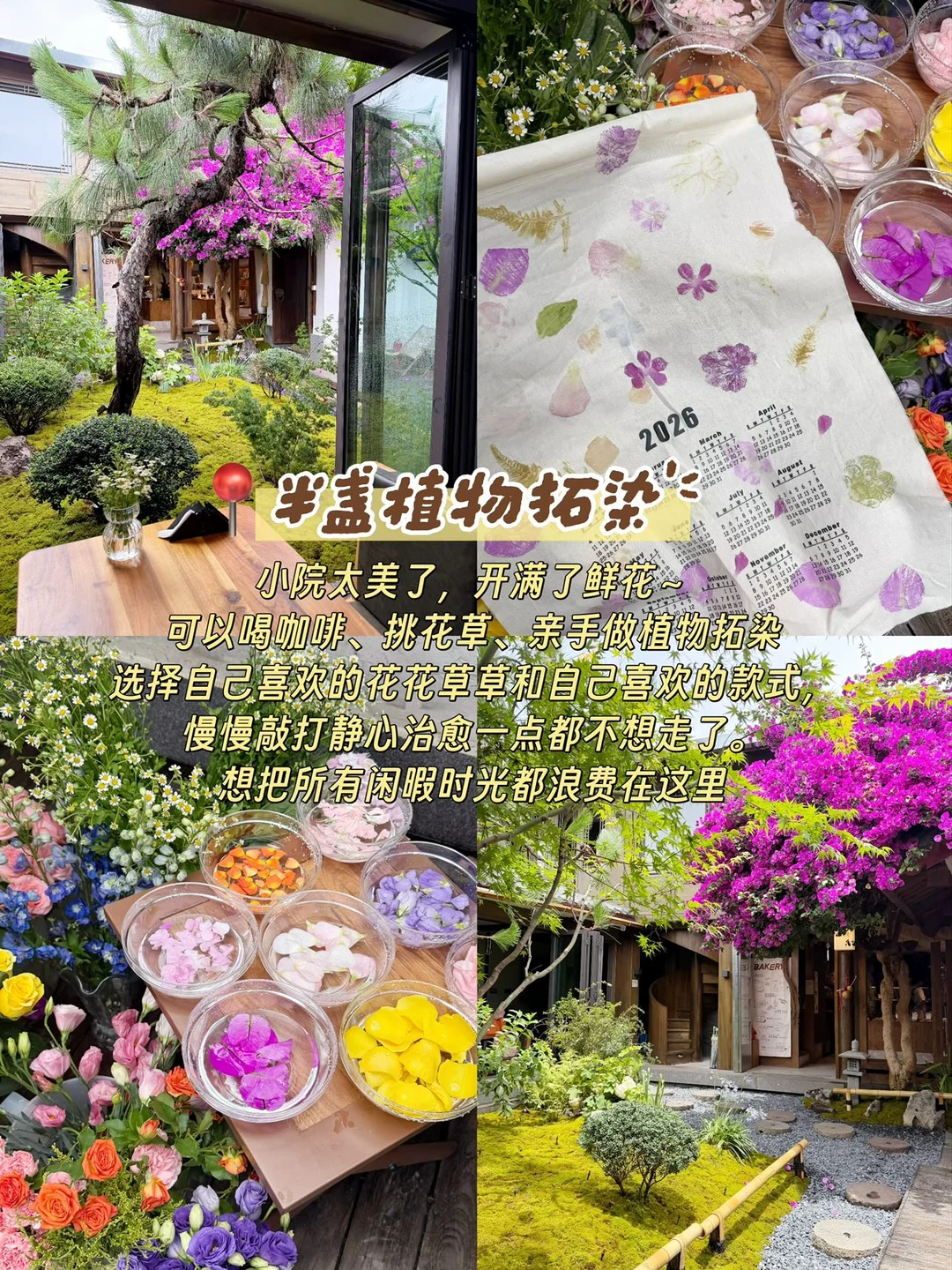 离开云南，我还在想念的6家店～ 在云南住了小半月，真是太喜欢云南的美景...