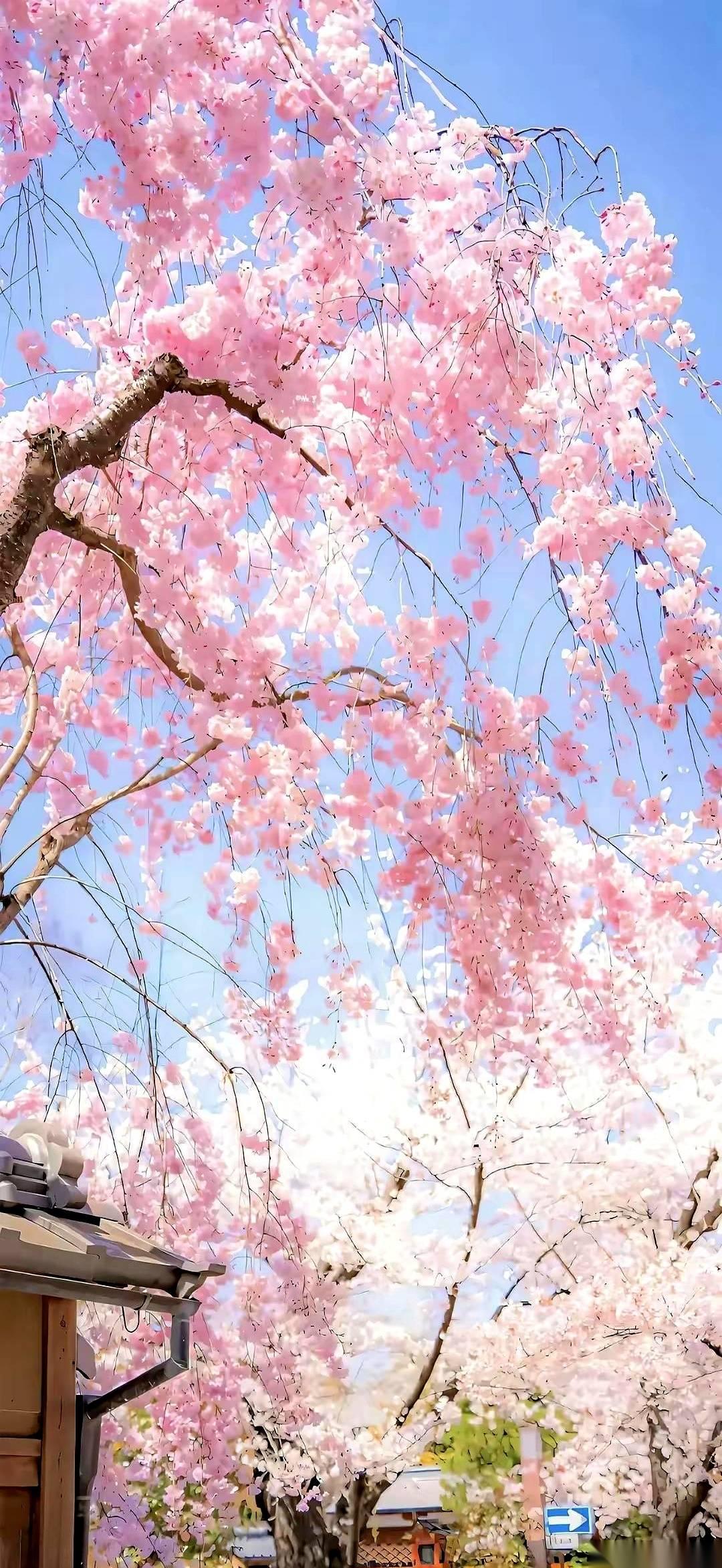 李银河有句话，挺扎人。
她说，人忙活一辈子，跟一只苍蝇、一块石头，没任何区别。