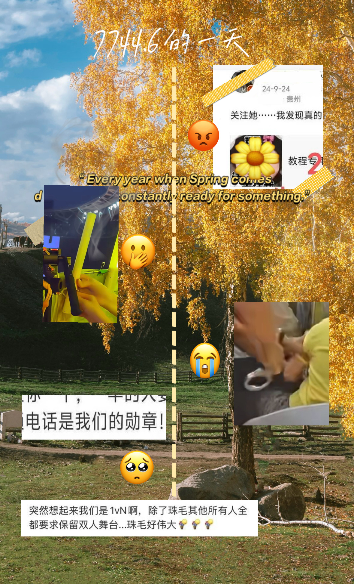 分享图片 ​​​