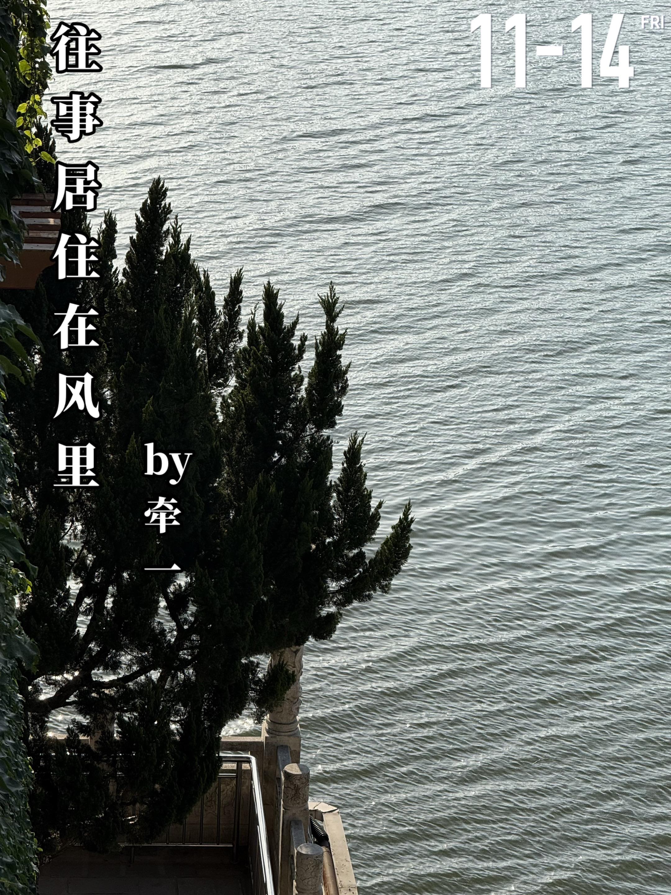 《往事居住在风里》by牵一。薛莲（女主）父母在她很小的时候去世，她和弟...