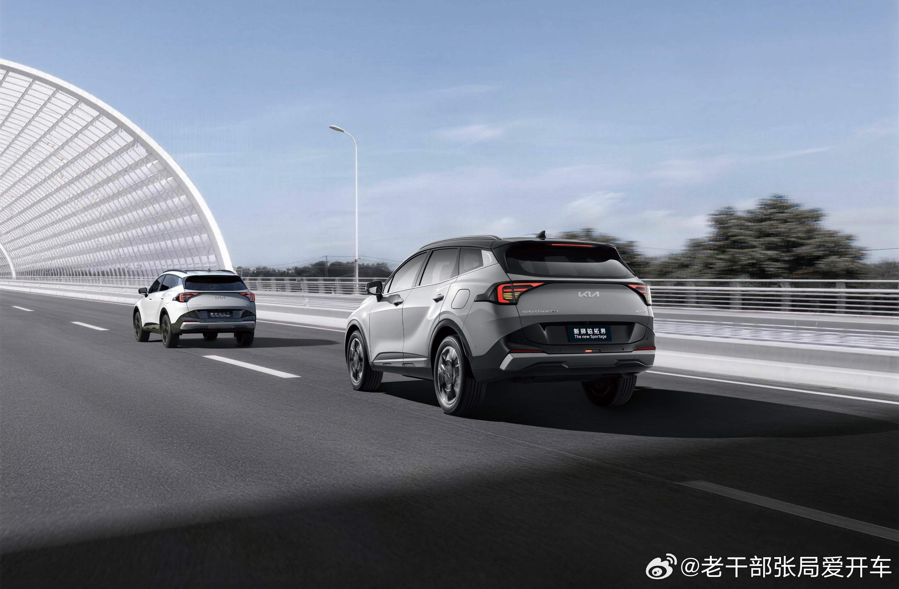 【韩系也开打“一口价”，起亚2026款狮铂拓界10.99万起】3月5日，2026