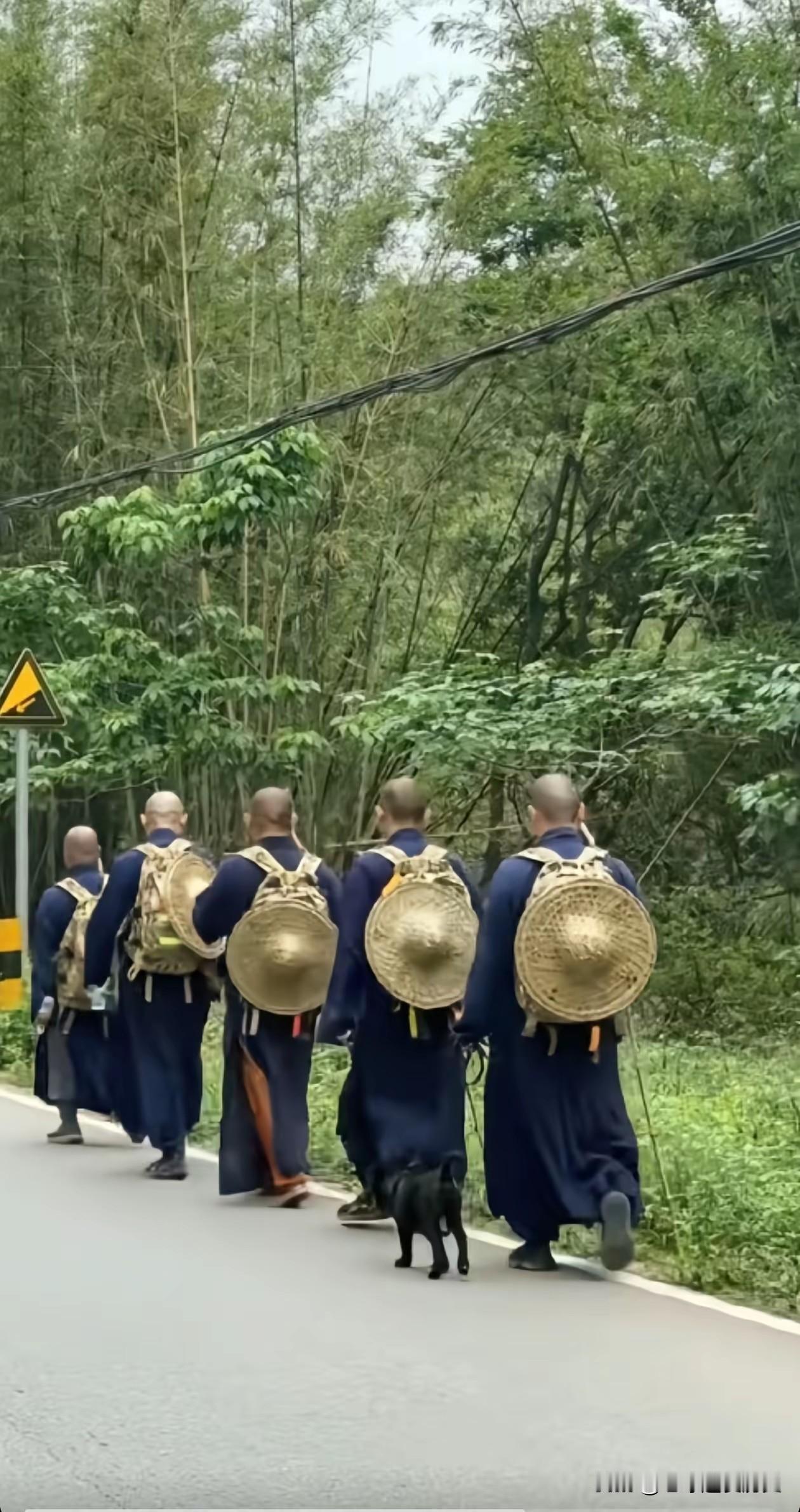 出家人不在寺庙敲钟念经，而是集体出动，背个迷彩包+对讲机+狗子，步伐整齐且一言不