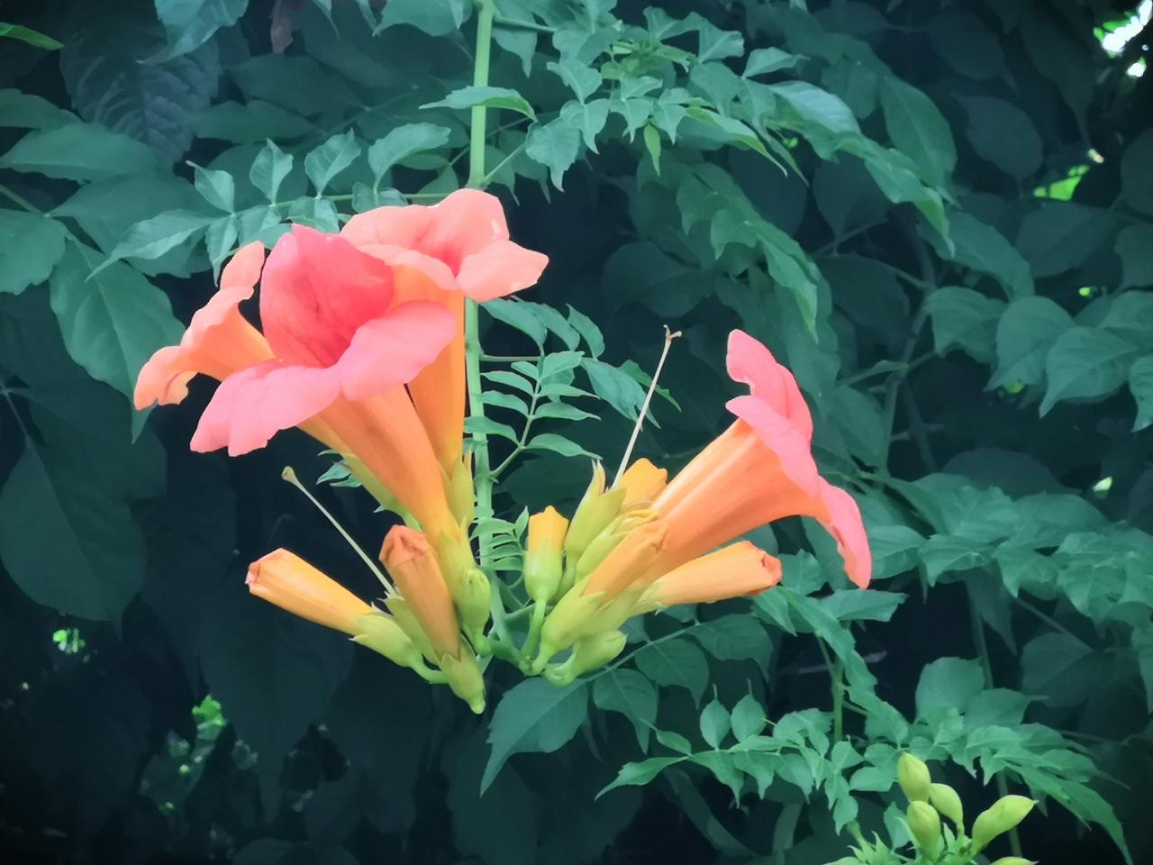 我认为重要。谈恋爱结婚最好还是找门当户对的比较好，无论是男方还是女方悬殊太大，在