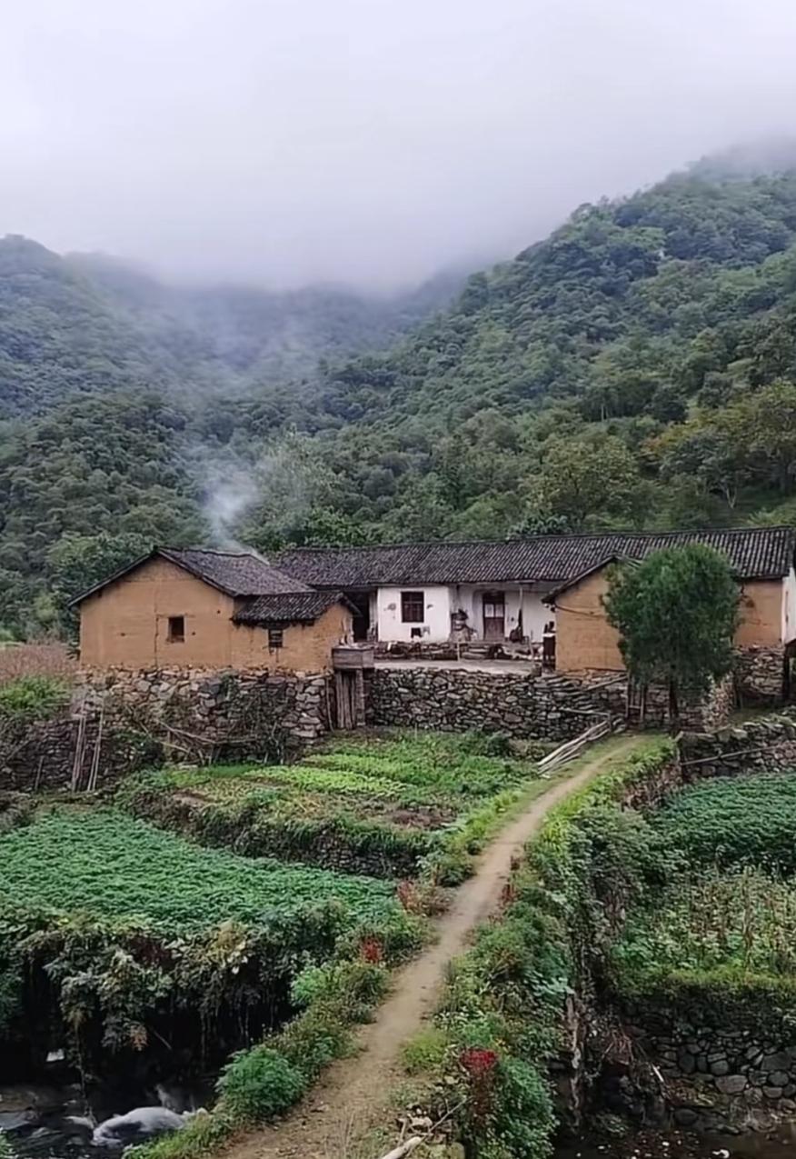 见过心狠的，没见过把“断舍离”玩成“一刀切”的男人。离婚时孩子归他，他直接把我、