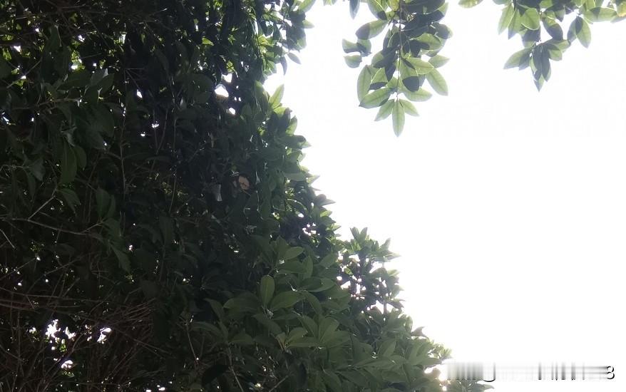 “诊所已经不是坐在诊室等病人上门的时代了！”

诊所老板们，第三终端的同行们，不
