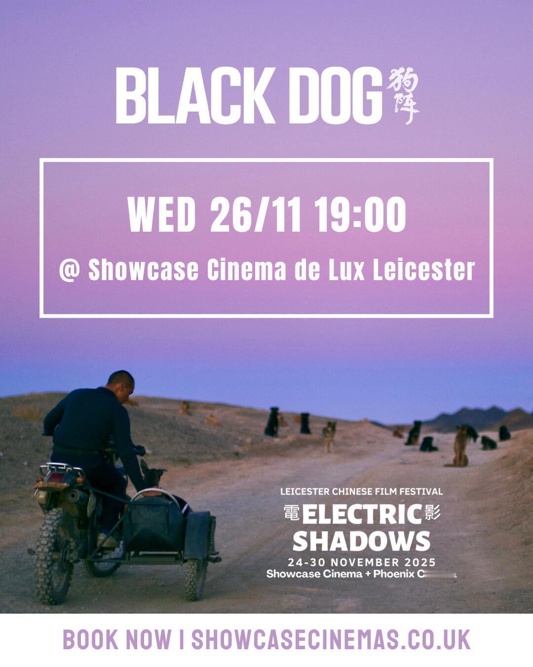 🏆 2025强势登陆莱斯特中国电影节据©️CineAsia英国欧洲电影发行 发