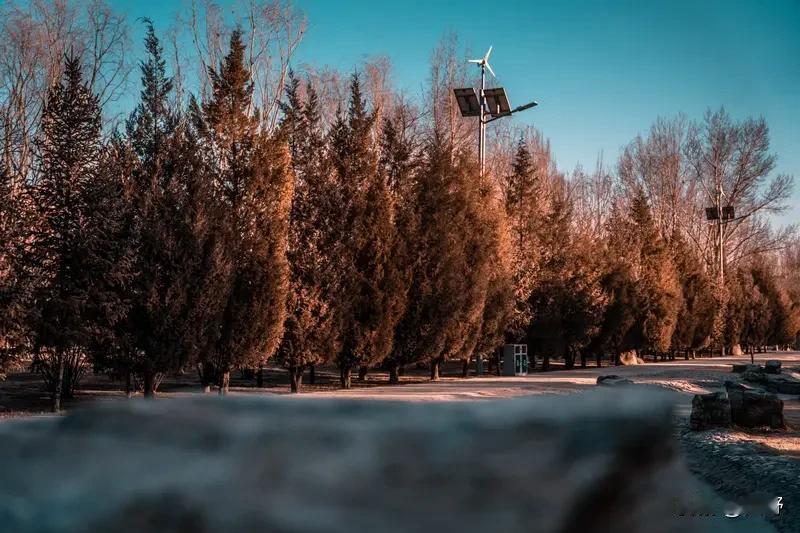 今年冬天的不同今年冬天又是个暖冬，夏天一定是高温连连，冬天是冷是暖无所谓，夏天高