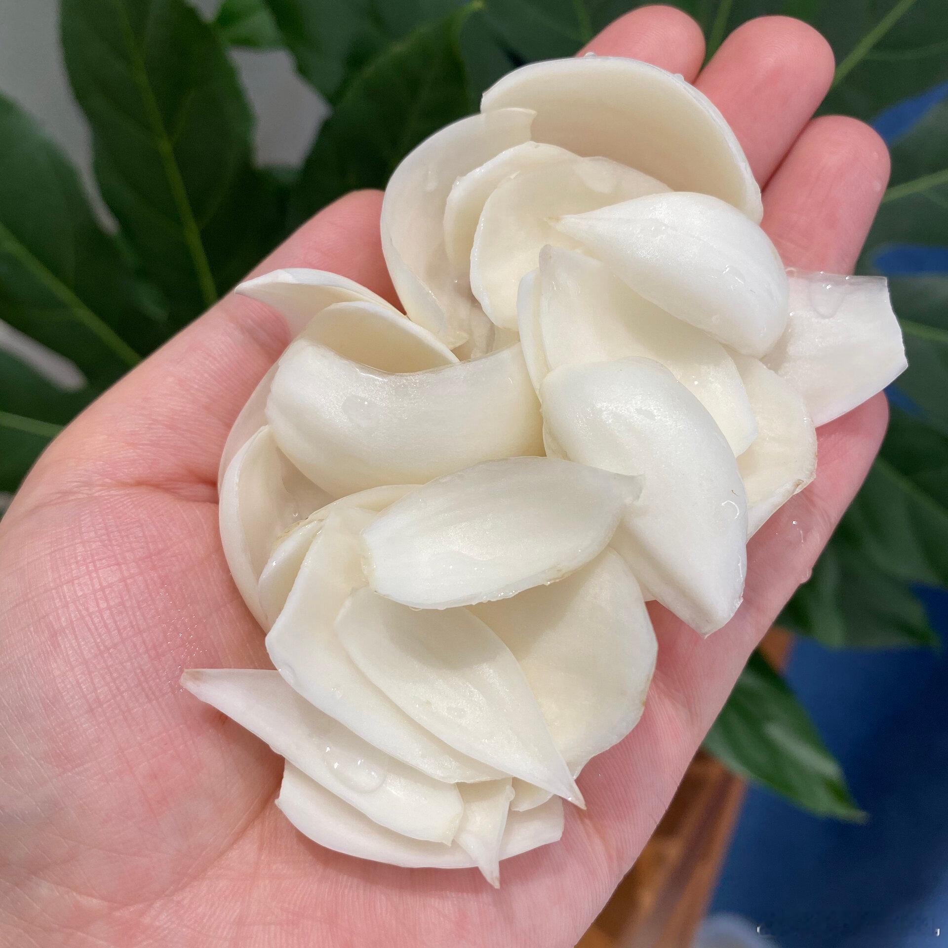 盒马误送有毒水仙球致老人孩子中毒无法理解，因为盒马除了食品还是有很多植物盆栽卖的