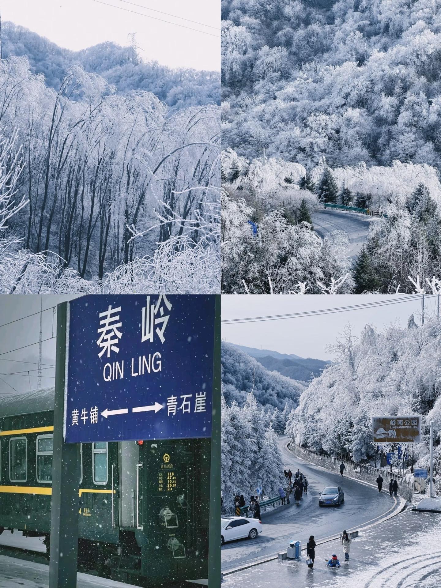 下雨啦❄️2024坐秦岭小火车去看雪吧。附攻略  西安这周快速入冬❄️...