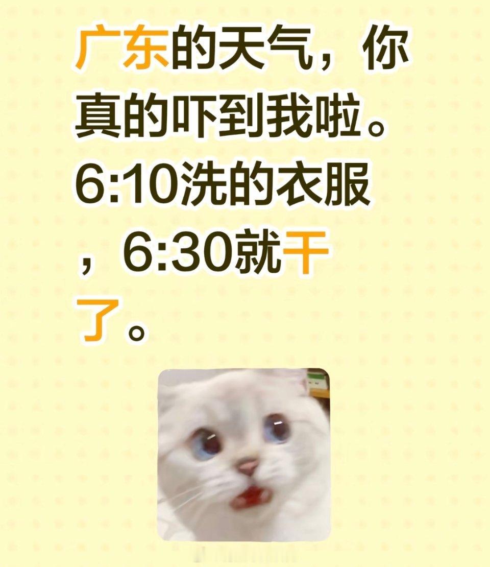 广东的天气，你真的吓到我了 