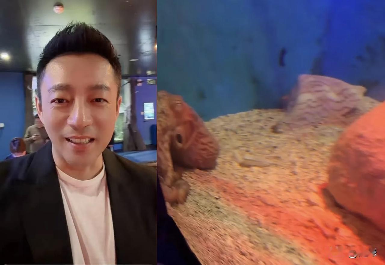 汪小菲更新动态
两口子带着玥儿和箖箖，到广州正佳广场的水族馆玩去了。
马筱梅带孩