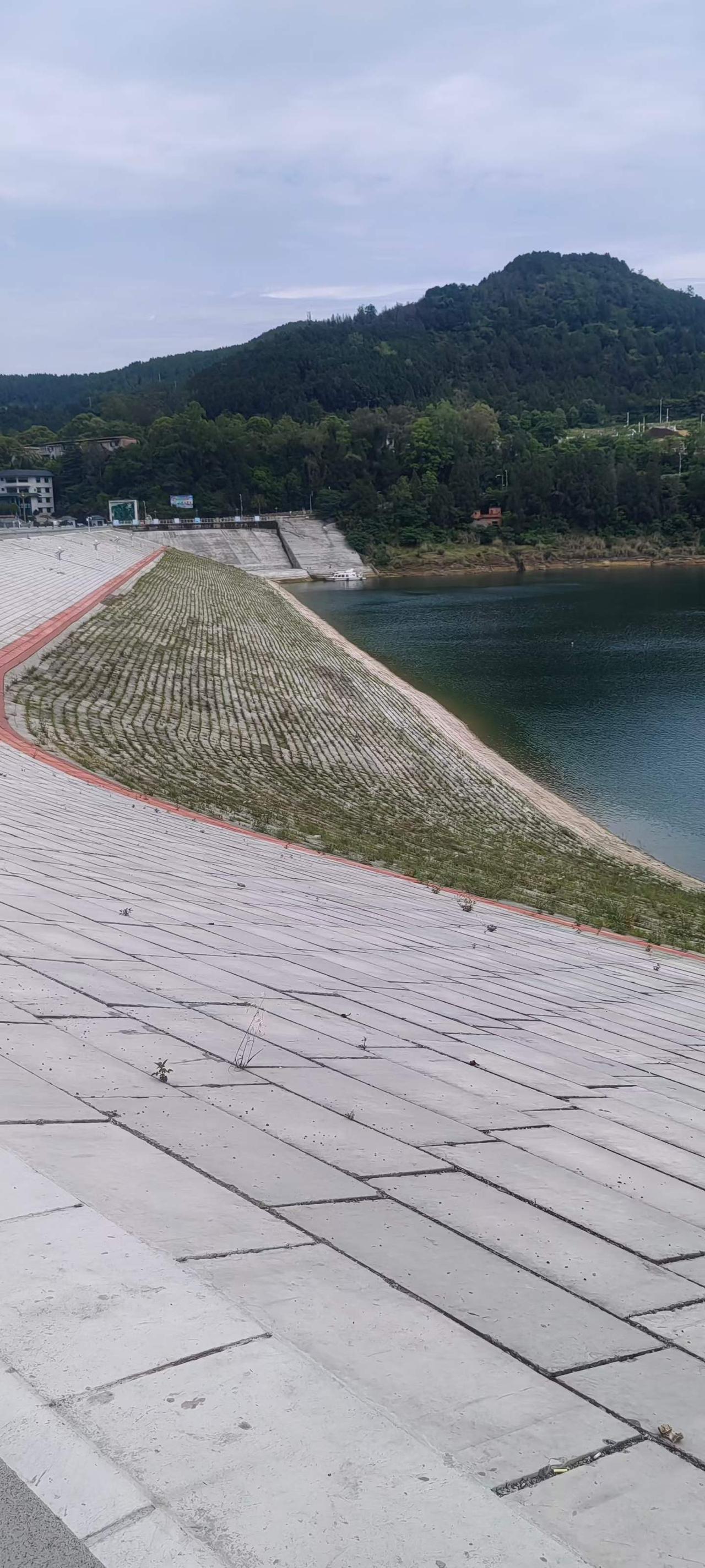 画家们在升钟湖国家湿地公园采风写生。
图文原创：东山闲人  杨西屏
夏日生活打卡