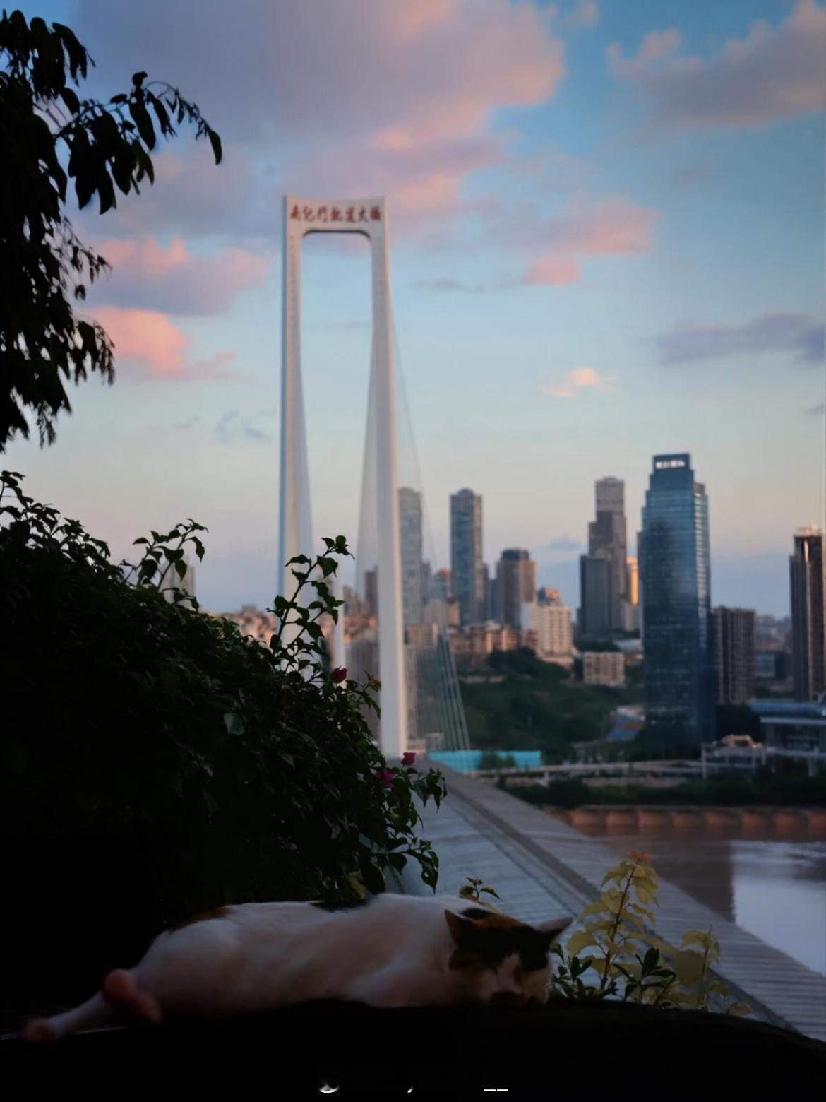 早安  ☀𝒢𝑜𝑜𝒹 𝑀𝑜𝓇𝓃𝒾𝓃𝑔新的清晨，新的启程。生活