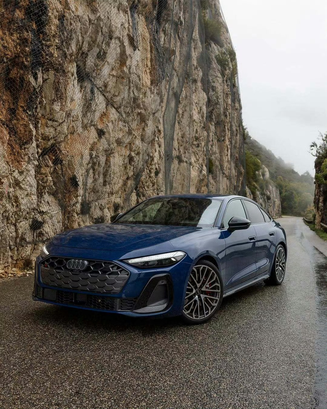 奥迪 S5 Sedan ​​​[酷][酷] ​​​