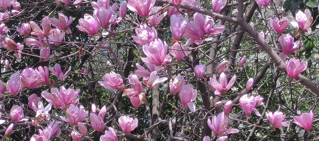 晒出你近期的原创摄影作品