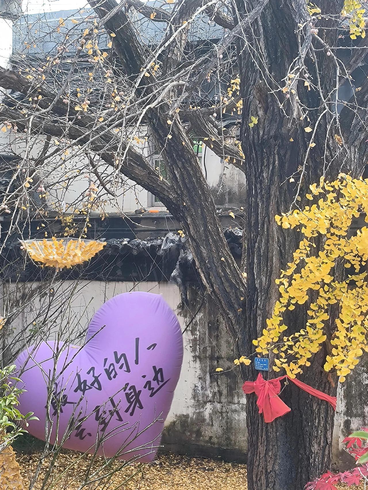 与你合作的同事，当然应该真诚相待，这是为人的原则，但是一定要清醒地认识到，这只是