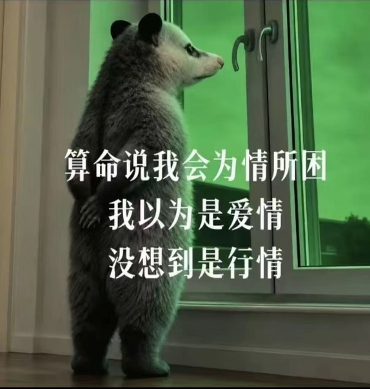 A股