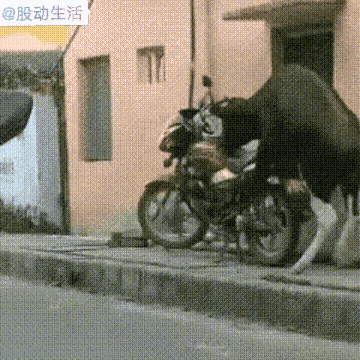 发表你的看法，它是强奸还是自慰！摩托定损要不要割二斤牛内！
   〈图侵删除）