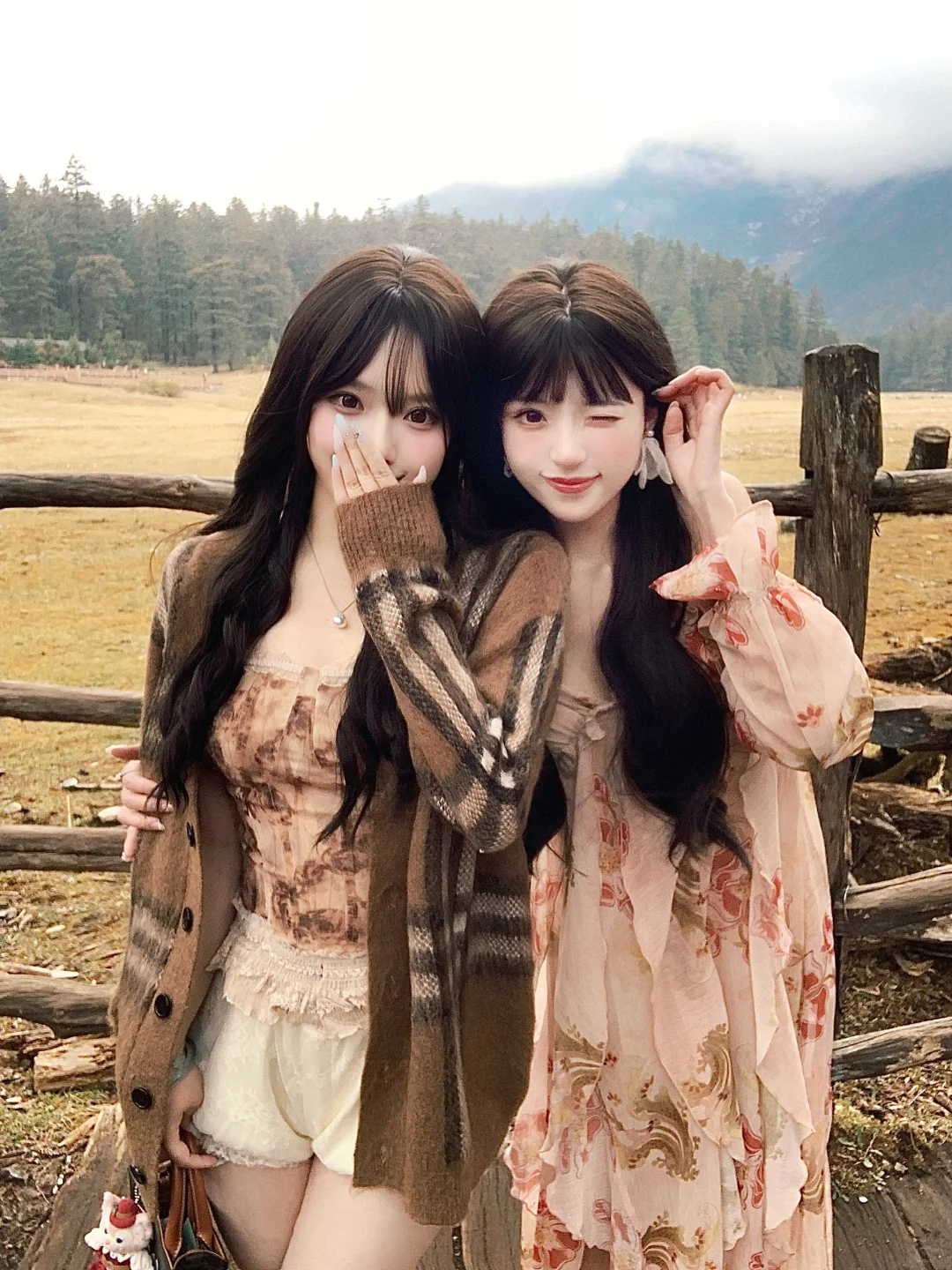 阴天的云杉坪🪵๋ 富士镜头下的我们🐿️🎞️
