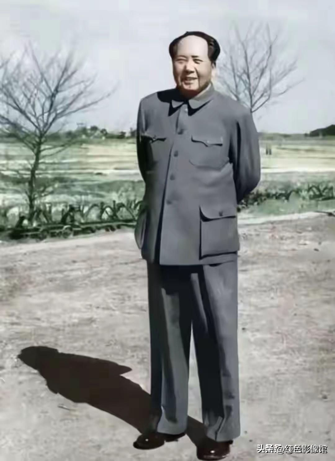 站，好似一棵松