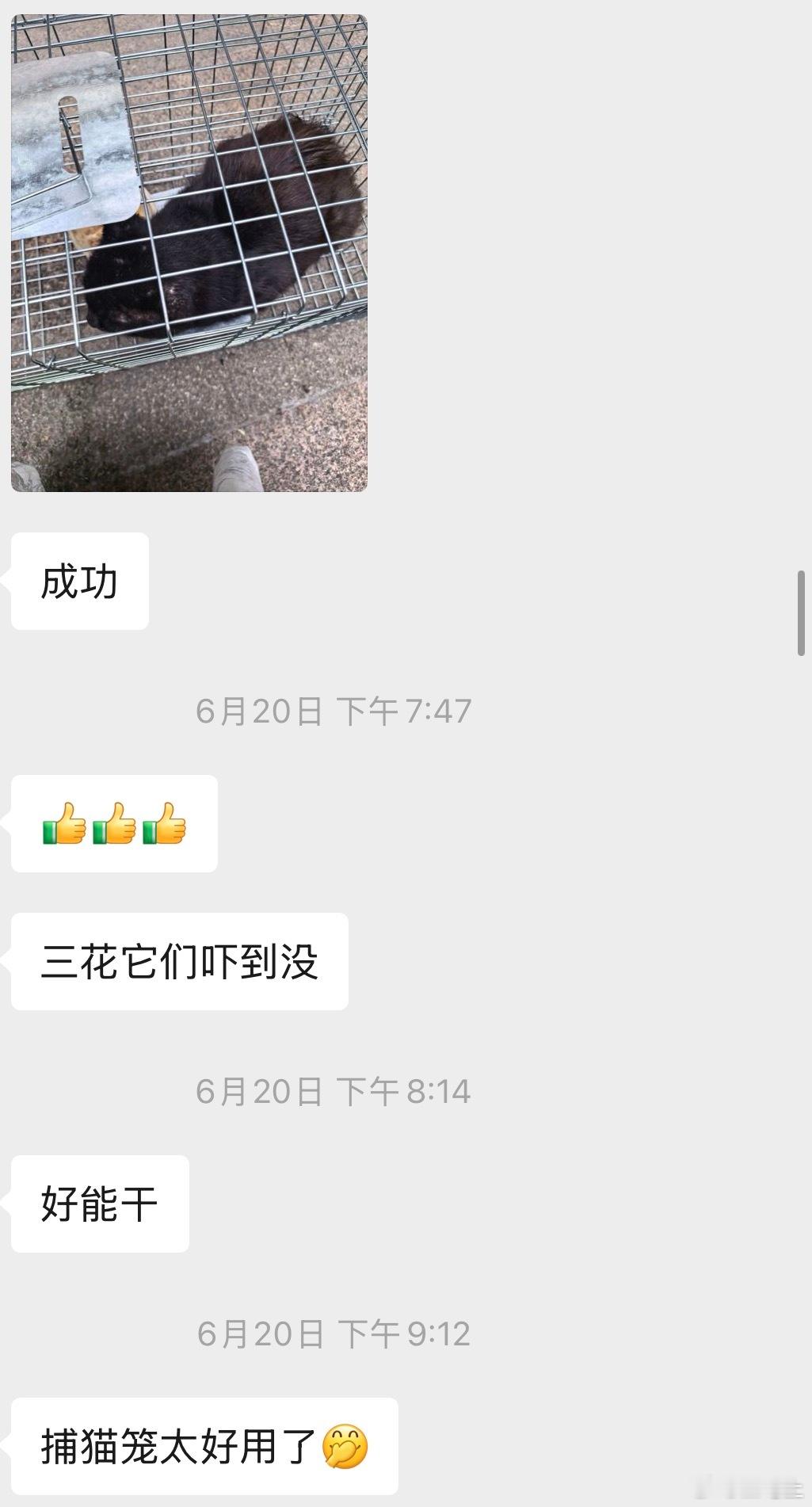 写一点好事。这个月小区里几位邻居自发建了个流浪猫 TNR  群，有钱的出钱，有力