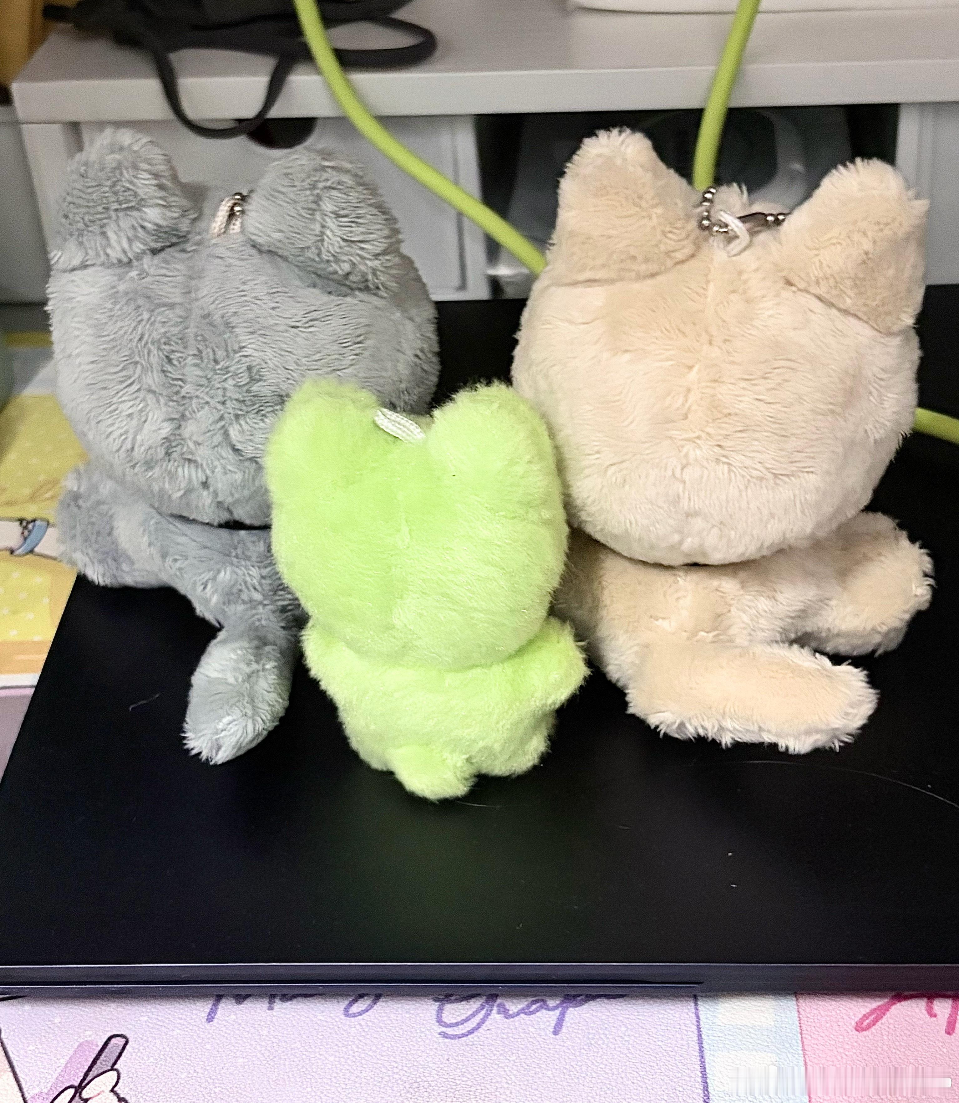 名字：just猫 芝士猫 外星猫年齡：关你屁屁性别：女生日日期：关你屁屁身高：关