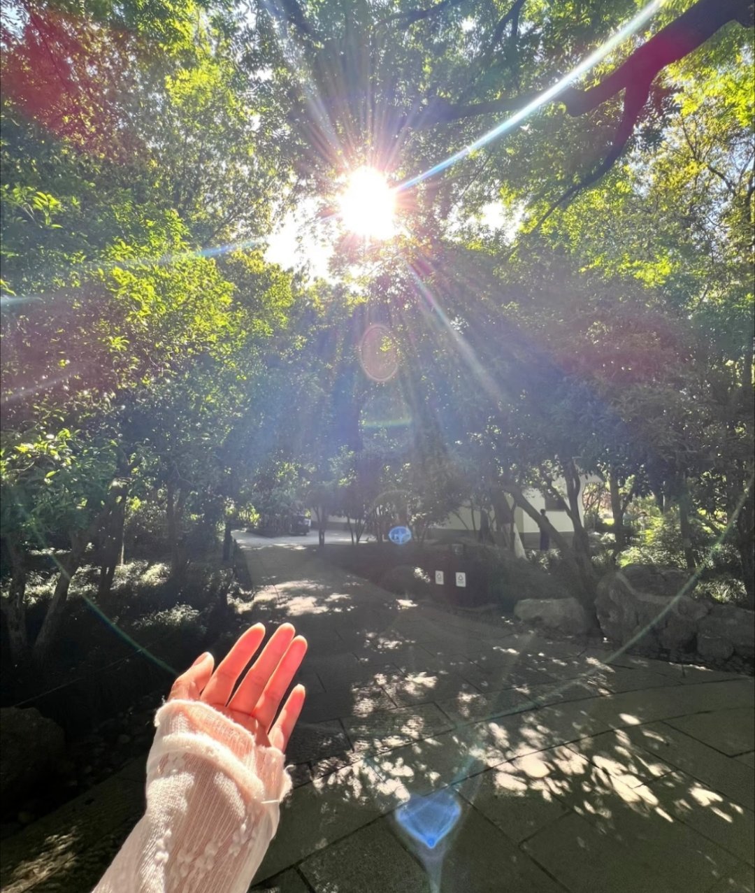 周三早安呀一周进度过半，甩掉早起小迷糊，吃饱元气早餐再出发。烦心事暂时搁置，日常