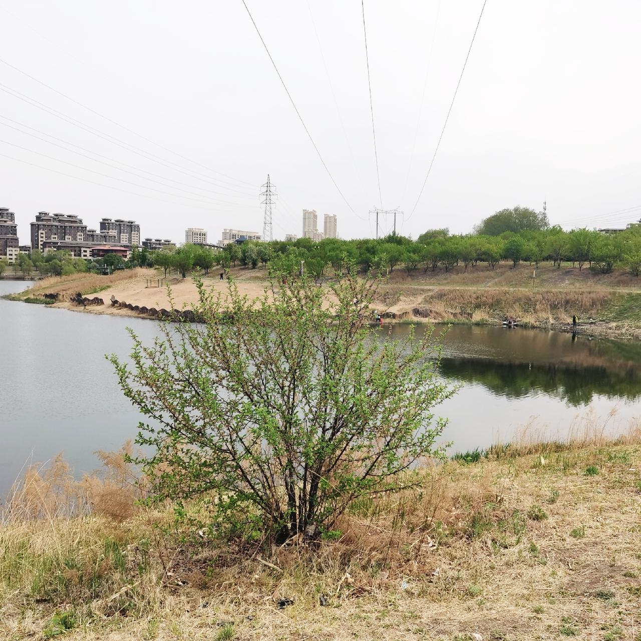 小松在越南省城安沛健民宿最得力的助手应该是大师傅，大师傅把楼梯凳都砌起来了，看着