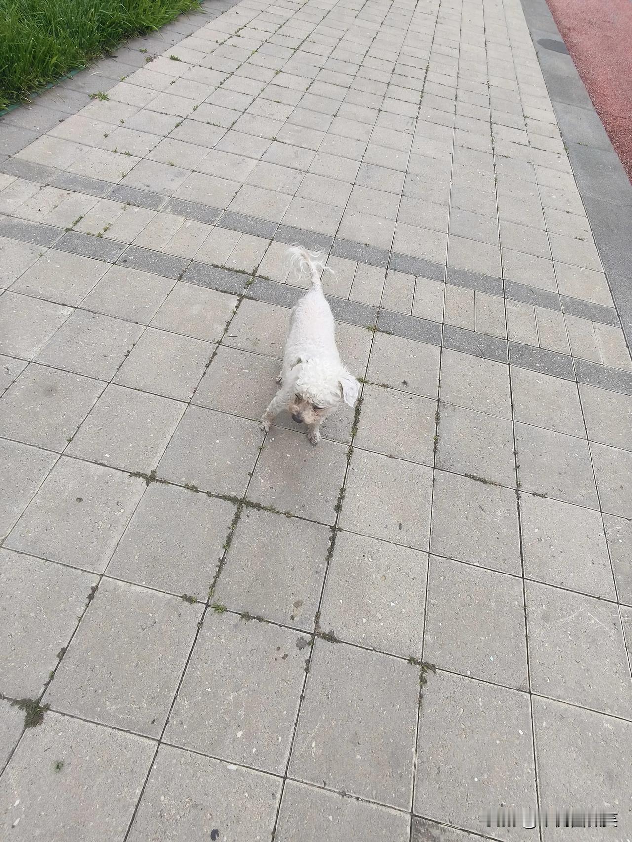 不了解