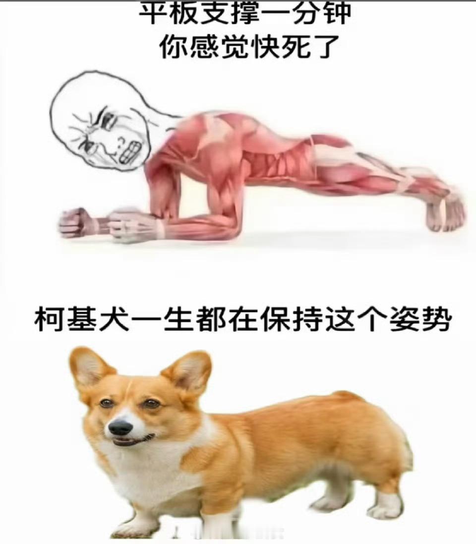 怎么做到的[二哈] ​​​