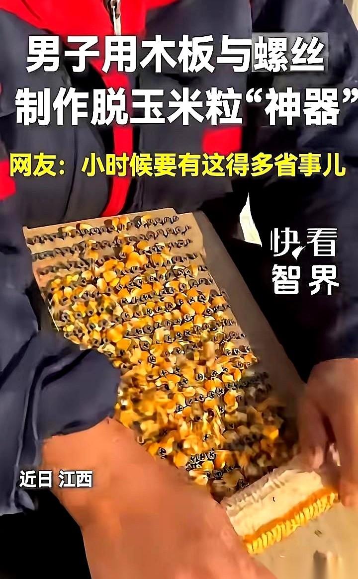 手掌心磨出的一排血泡还没好，江西赣州这大哥看着院子里那五亩地的“玉米山”，心一横