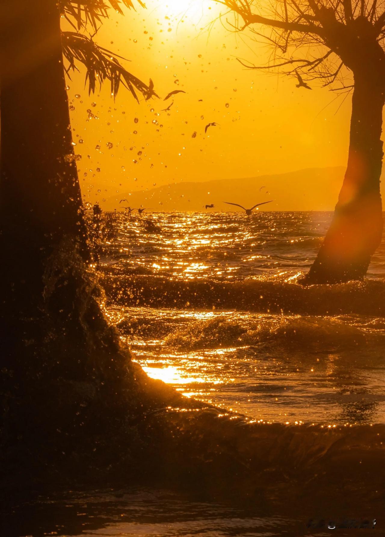 发张你手机里最美的夕阳照可以吗今天下午刚拍的，怎么样？