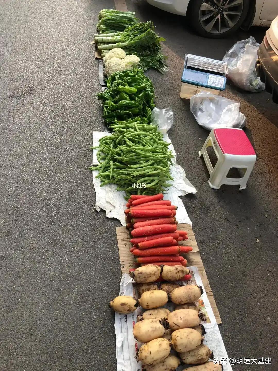 这些年和太底层那帮人打交道，太懂他们的生存法则了！

那个层面拼的是拳头，拼的是